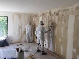 Professional Mold Prevention & Removal  in Lander, WY